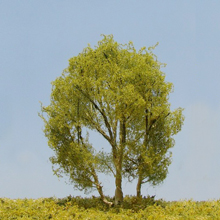 model trees